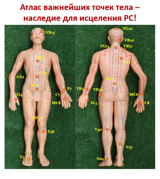 Болевые точки на теле человека в картинках