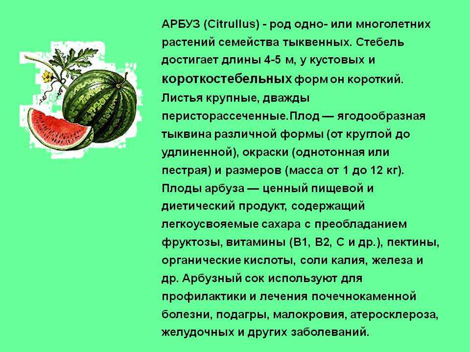 Описание растения подсолнух в научном стиле для 3 класса как сделать?