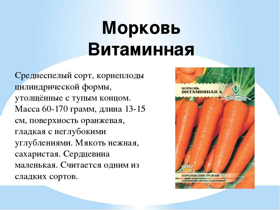 Морковь какая прилагательные