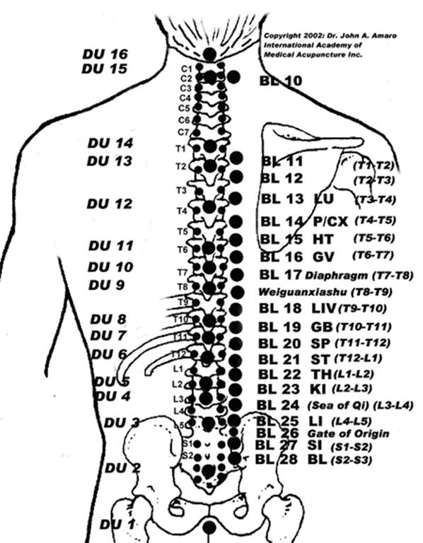 Акупунктура схема точек. Акупунктура меридианы тела человека схема. Акупунктура меридианы китайская медицина. Точки китайской акупунктуры. Акупунктурные точки на теле человека схема.