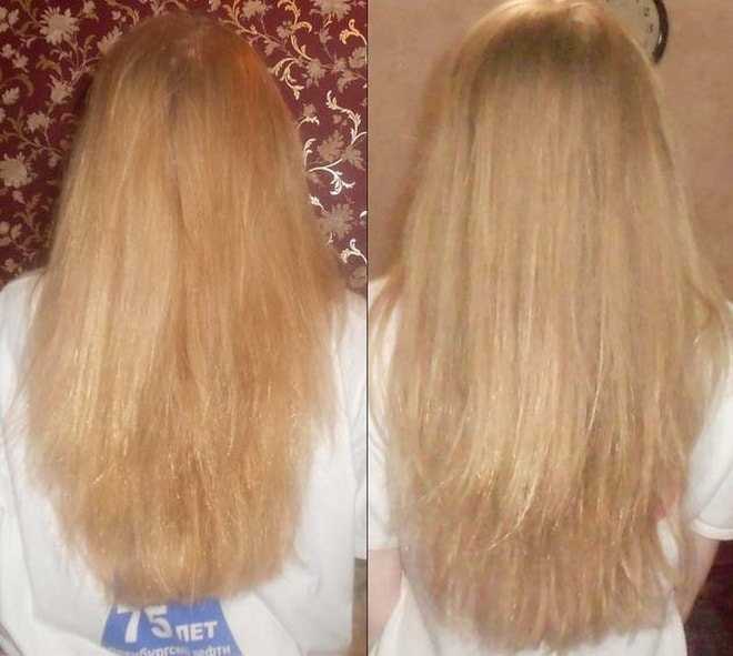 Маска для осветления волос в домашних. Волосы после осветления ромашкой. Волосы после обесцвечивания. Волосы после осветлителя. Осветление волос ромашкой до и после.