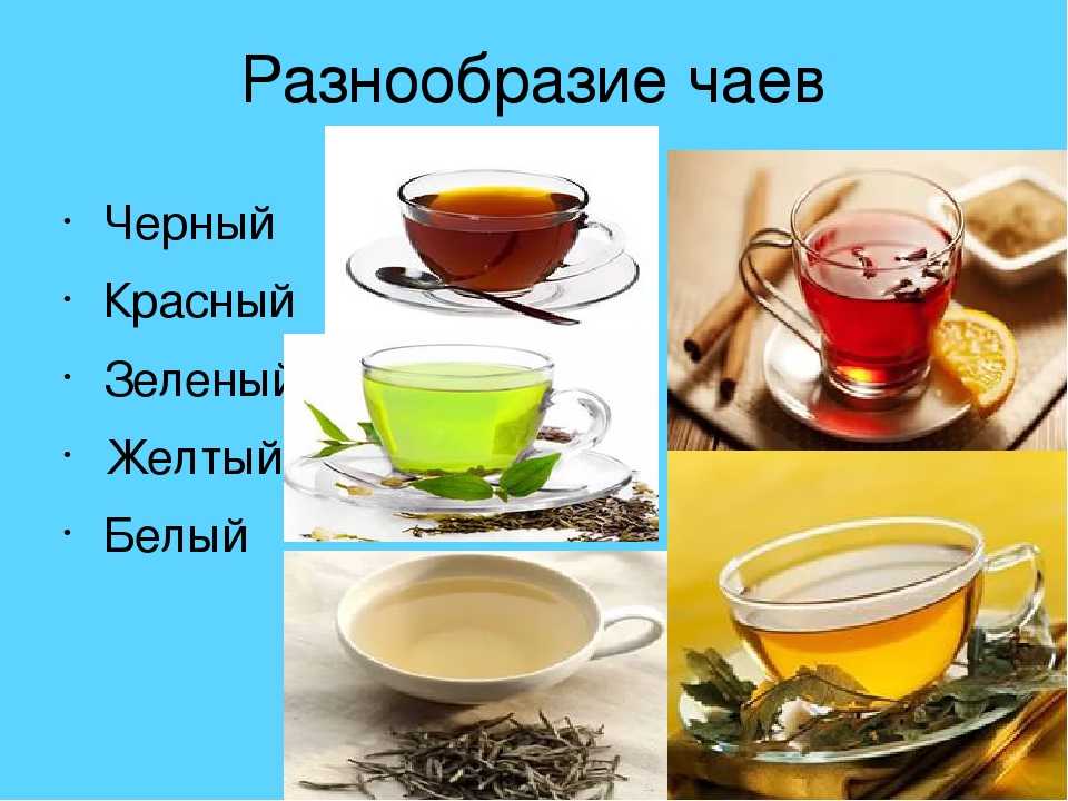 Чай полезные и вредные свойства. Полезный чай. Виды чайных напитков. Чай разных цветов. Разные сорта чая.