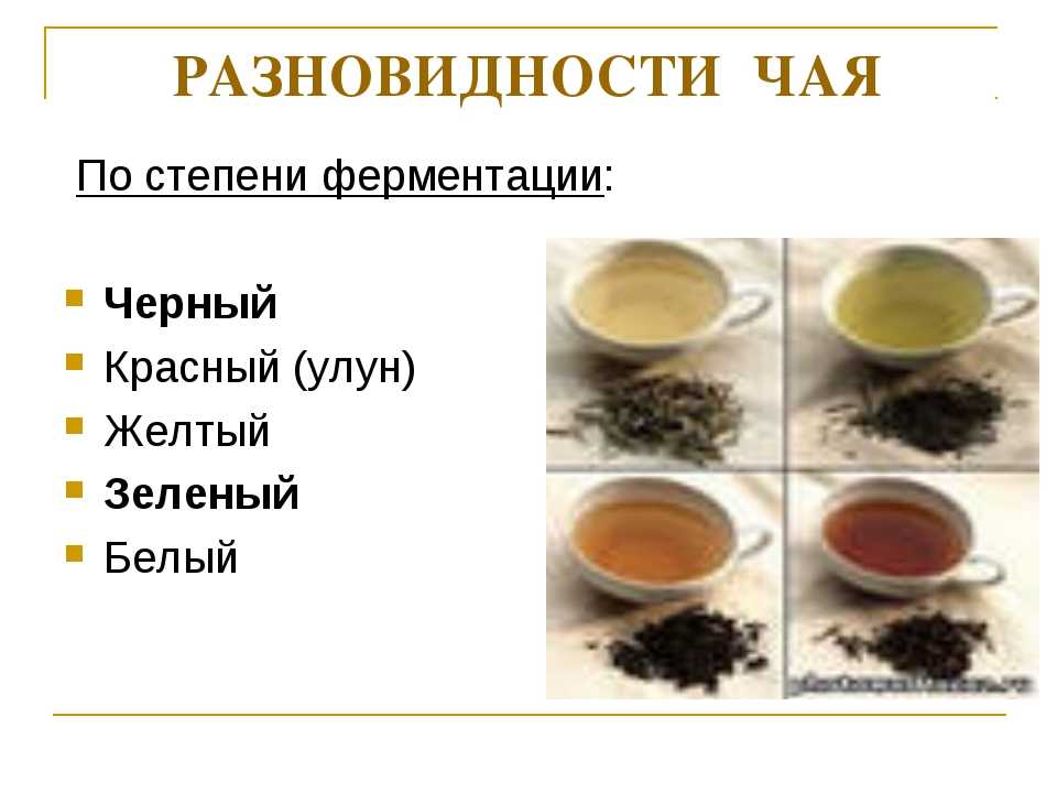 Чай сорта и виды. Разновидности чая. Классификация чая по видам. Сорта черного чая. Чай классификация и виды.
