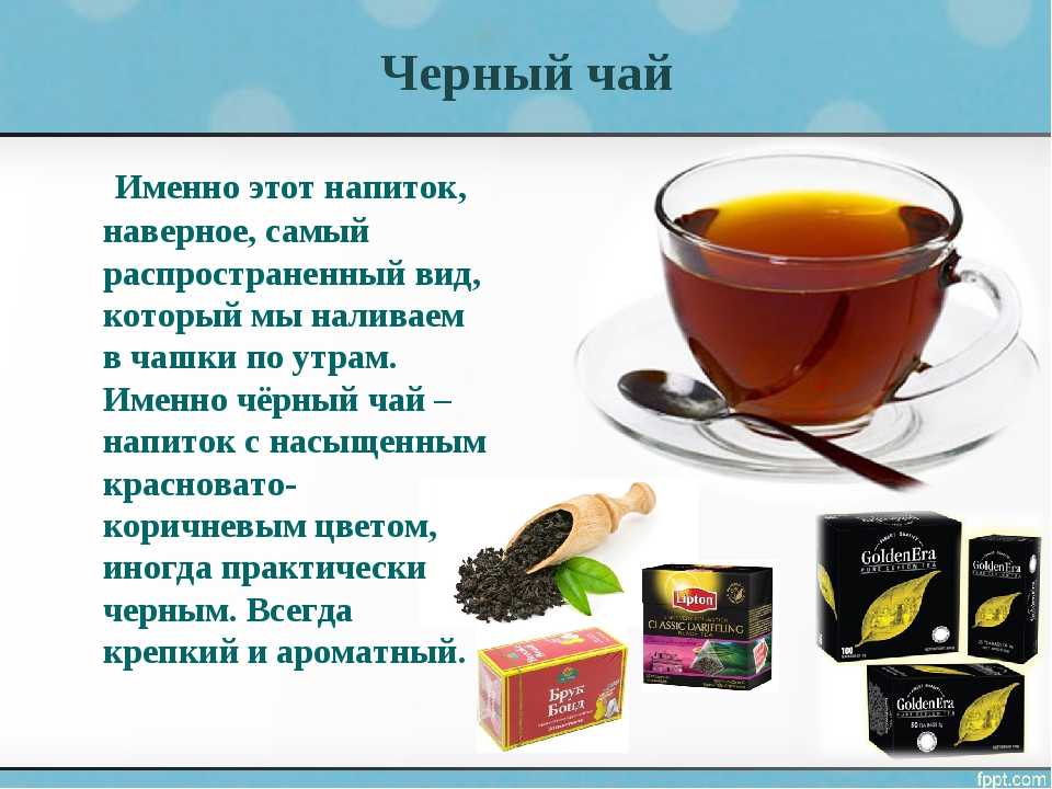 Какой лучше пить чай черный или зеленый