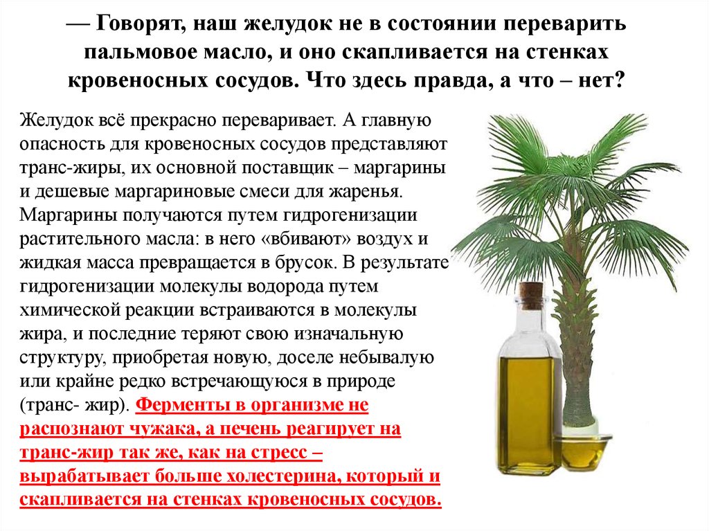 Масло вредное для организма. Пальмовое масло. Пальмовое масло польза и вред для здоровья. Пальмовое масло вред. Пальмовое масло вредное.