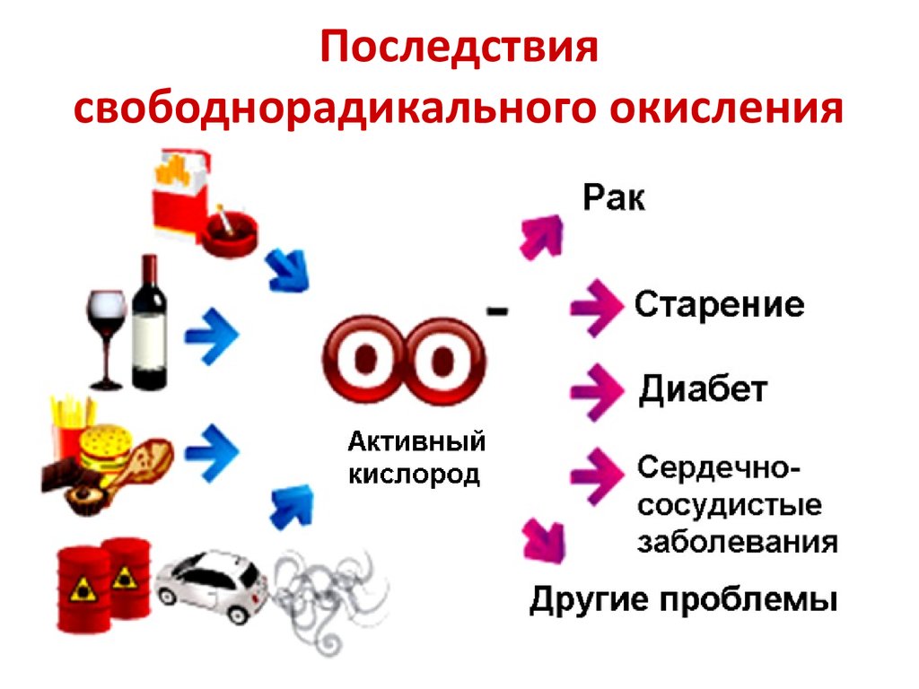 Процессы свободнорадикального окисления. Окислительные процессы в организме. Процессы окесления в организмечеловека. Свободно-радикальное окисление. Свободнорадикальные процессы биохимия.