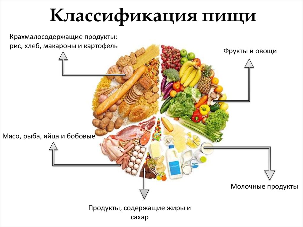 Как называется способ изображения продуктов питания. Классификация пищевых продуктов. Классификация пищи. Продукты классификация. Крахмалосодержащие продукты.