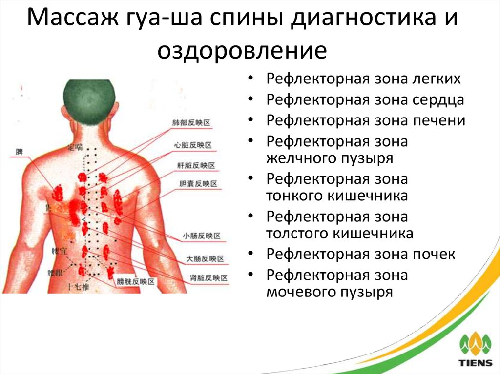 Схема массажа на спине