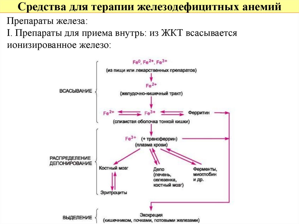 Схема движения железа в депо с участием транспортных белков