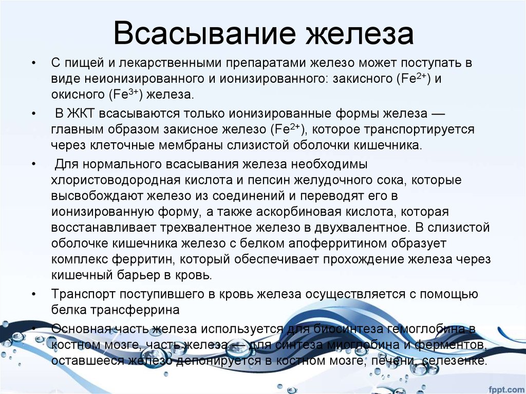 Соль двухвалентного железа. Всасывание двухвалентного железа. Всасывание железа в кишечнике. Условия всасывания железа в кишечнике. Железо всасывается.