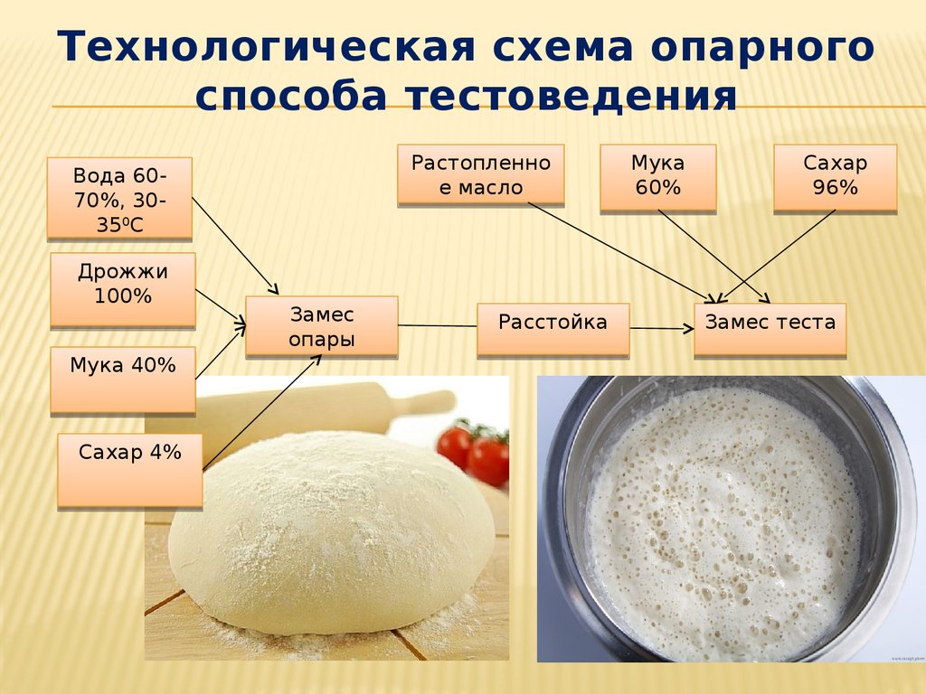 Составьте технологическую схему приготовления дрожжевого безопарного теста