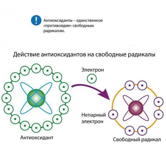 Антиоксидантной активностью обладают. Свободные радикалы и антиоксиданты. Антиоксиданты это. Антиоксидантное действи. Оксиданты и антиоксиданты.