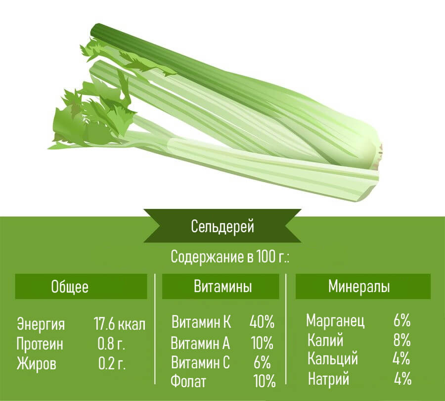 Сельдерей польза картинки