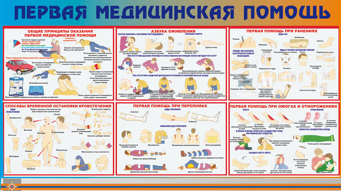 Проект первая помощь