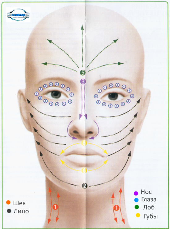 Массажные линии лица и шеи схема