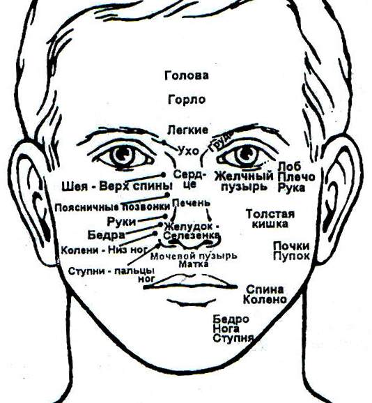 Где у человека лоб. Рефлекторные точки лица по Огулову. Огулов проекционные зоны лицо. Схема проекция органов на лице человека. Проекция прыщей на лице на внутренние органы.