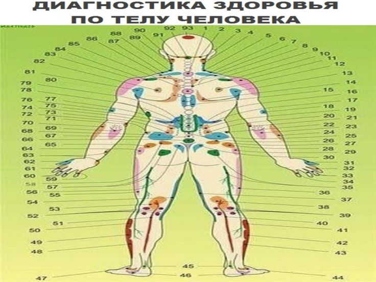 Болевые точки на теле человека в картинках