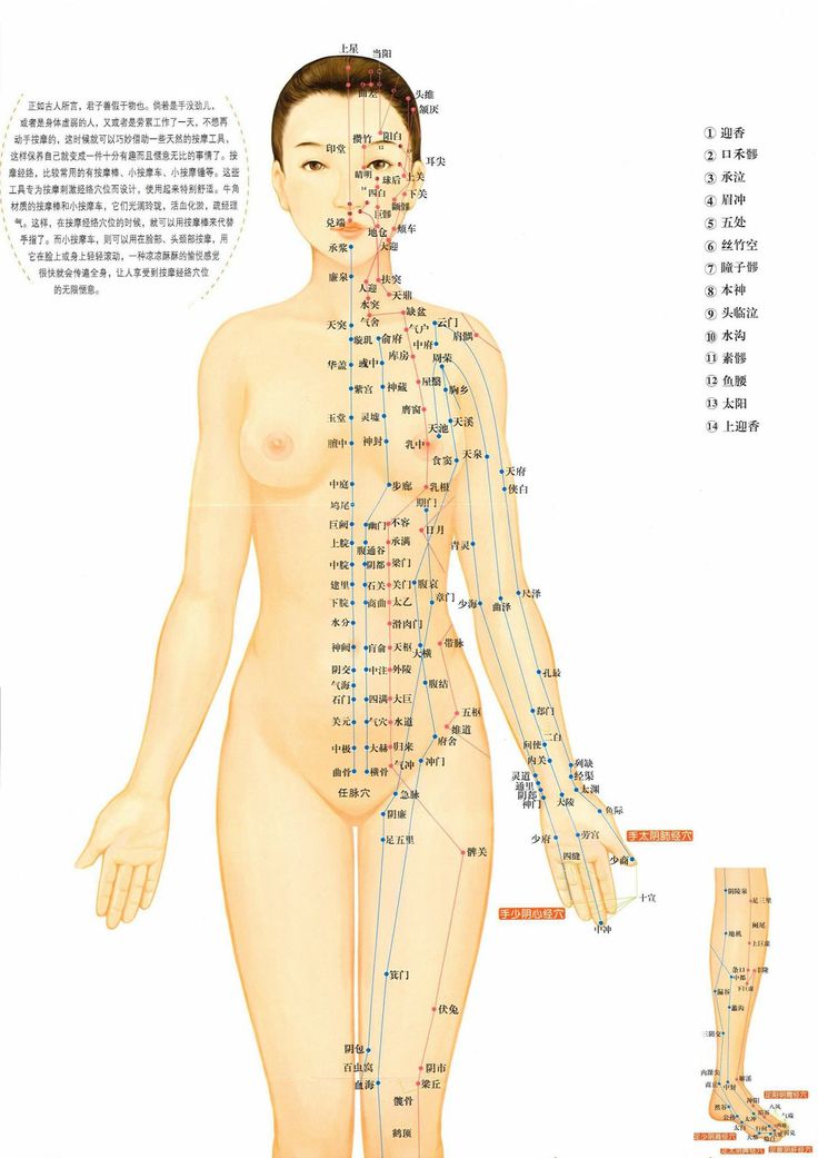 Китайская медицина точки на теле и их значение картинки на русском языке