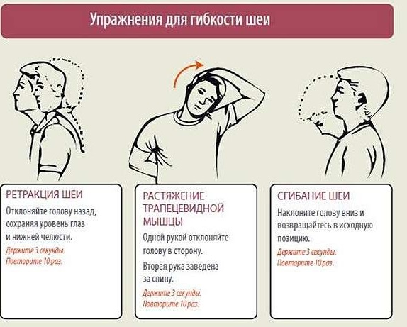 Упражнения для гибкости шеи картинки