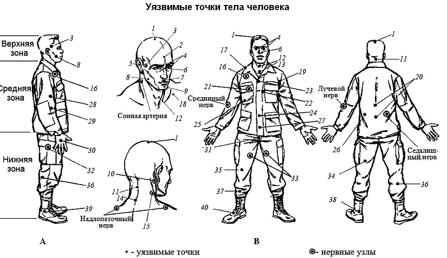 Болевые точки человека при драке схема. Болевые точки на теле человека для обездвиживания. Нервные точки человека. Болевые точки человека для самообороны.