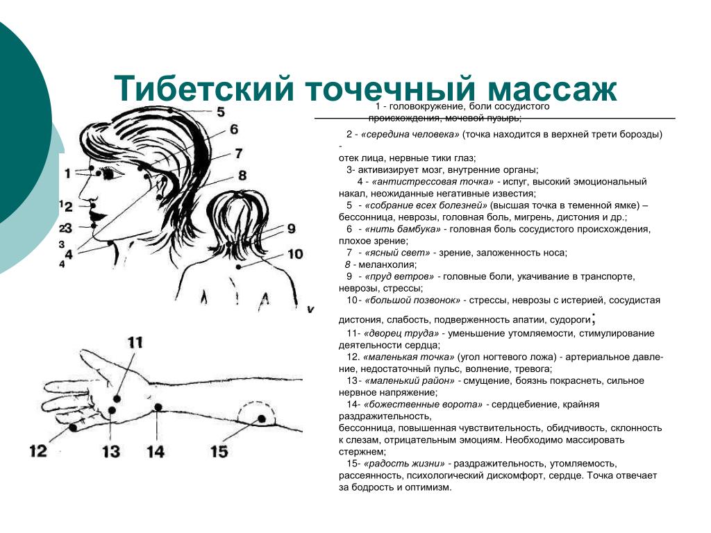 Точка обязательно. Точечный массаж схема головы. Точки акупрессуры для улучшения памяти. Точечный массаж схема и описание точек. Акупрессура точечный массаж при усталости.