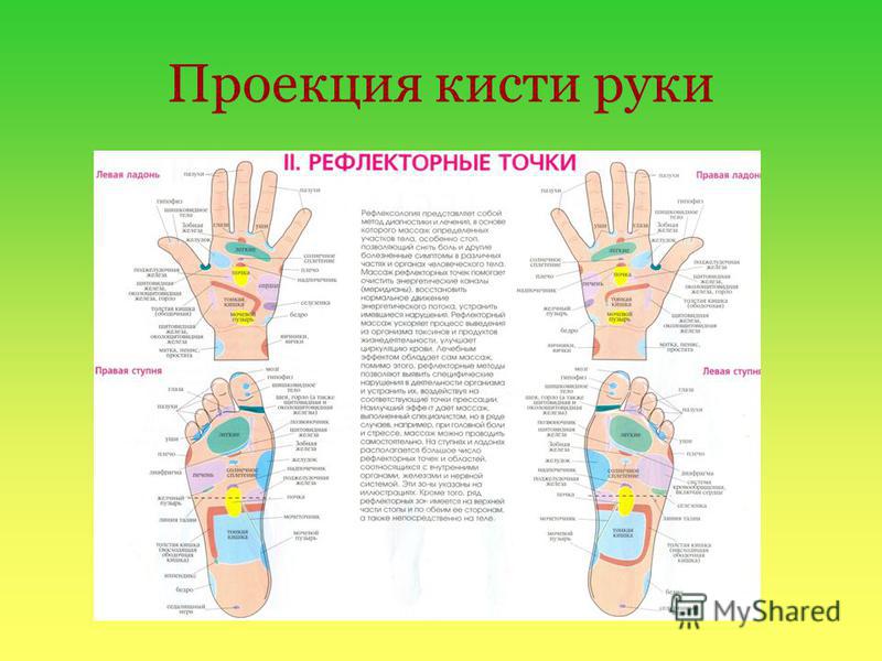 Какой палец отвечает за какой орган. Рефлекторные зоны рук. Проекция органов на руке. Точки на руках органы. Проекционные зоны на ладони.