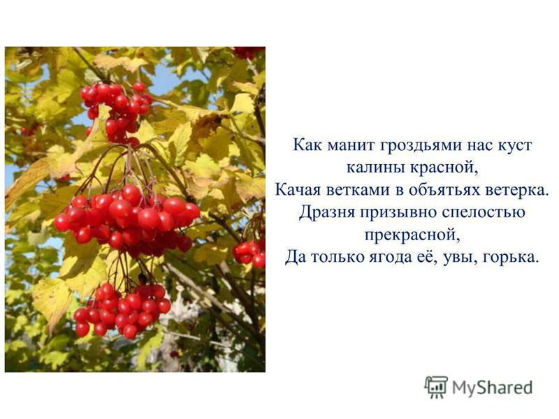 Как называется изображение природы в литературном произведении но как только на калине под окном у