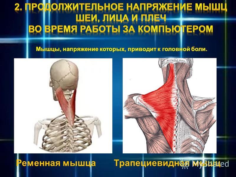 Спазмы мышц шейного отдела