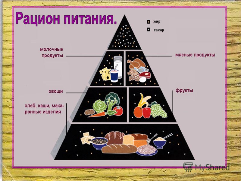 Что такое схема питания