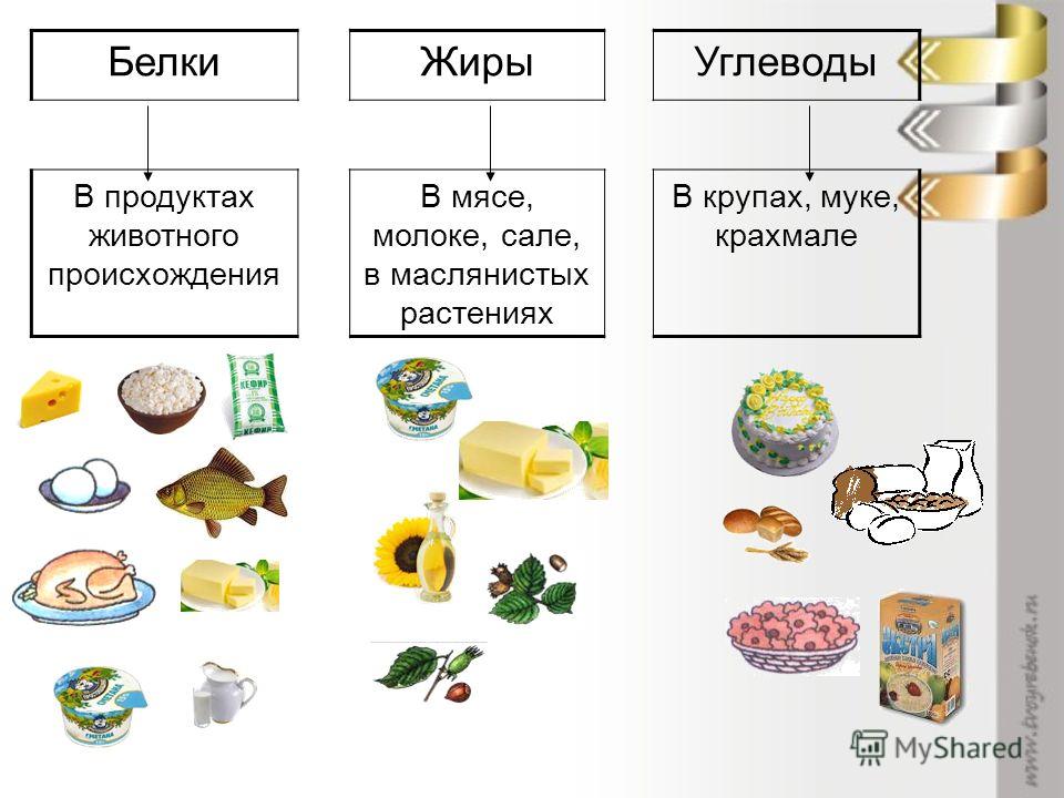 Белки жиры углеводы в продуктах картинки