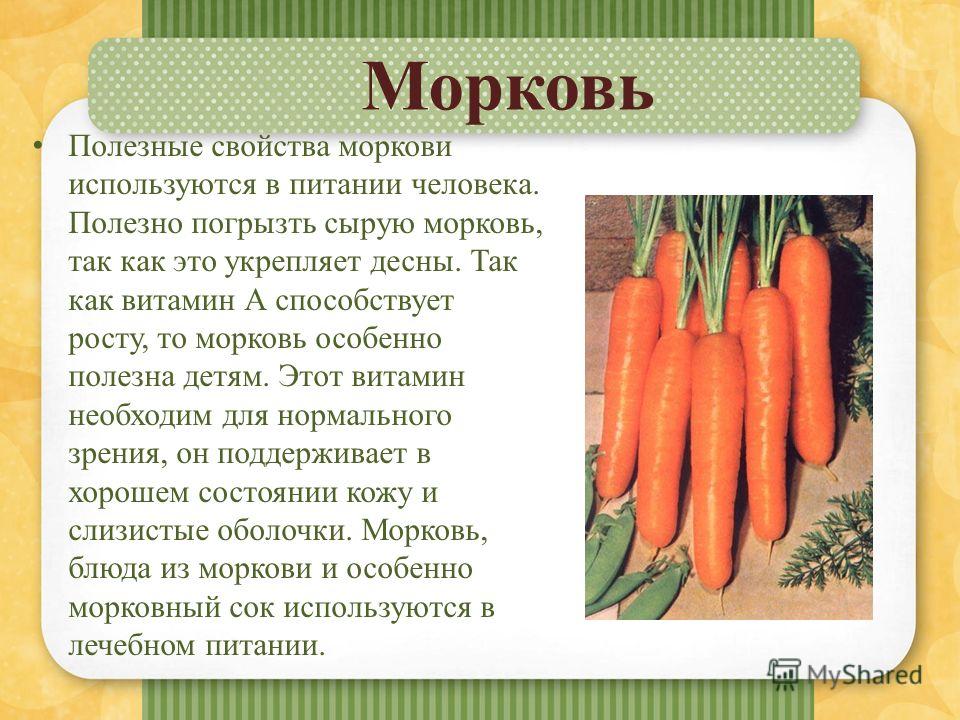 Морковь способствует развитию