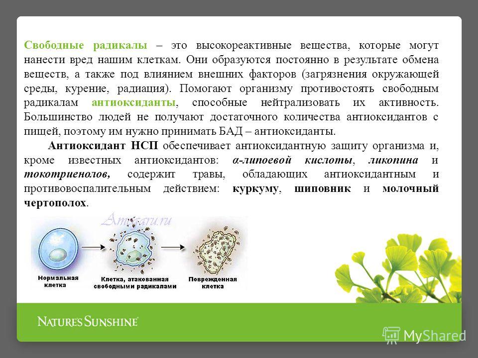 Организация радикал