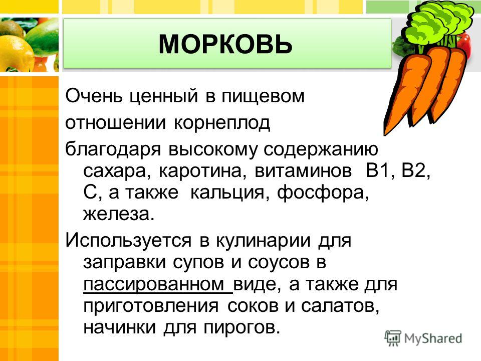 Морковь описание. Морковка для презентации. Морковь для презентации. Доклад про морковь. Презентация на тему морковь.