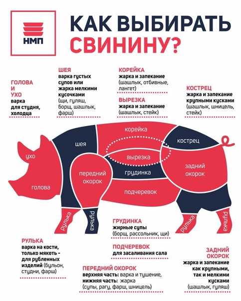 С какого мяса начинают. Части мяса свинины. Название частей мяса свинины. Мясо свинины части туши. Как выбрать свинину.