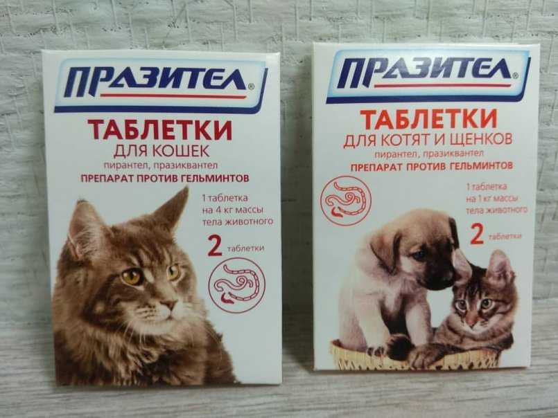 Таблетки против кошек. Празител таблетки для кошек (2 табл.). Лекарство от клещей и глистов для котят]. Лекарство от гельминтов для кошек. Препараты от гельминтов для котят.