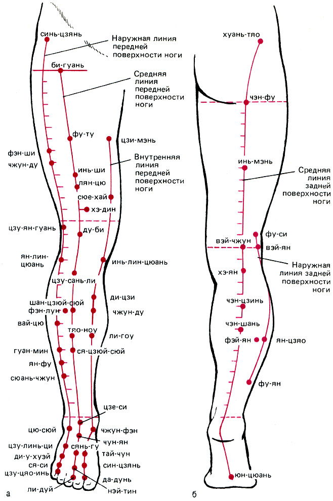 Точки акупунктура схема