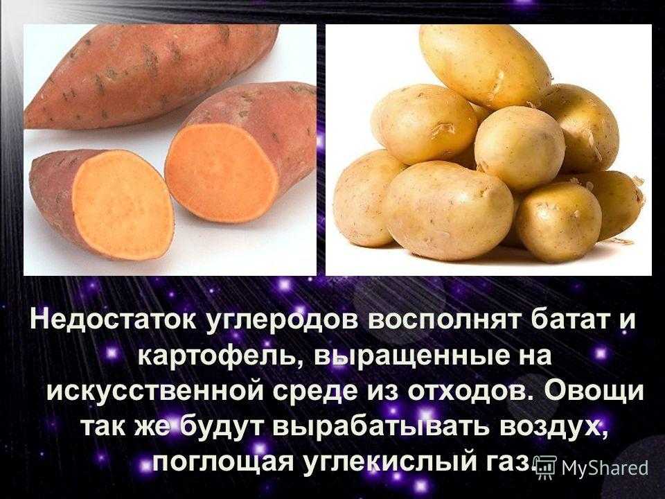 Какой химический картофеля