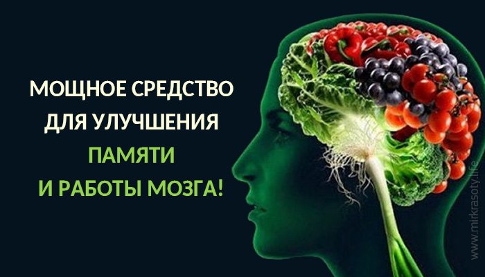 Народные средства для памяти. Улучшение памяти. Для улучшения памяти и работы мозга. Таблетки для памяти взрослым. Витамины для мозга.