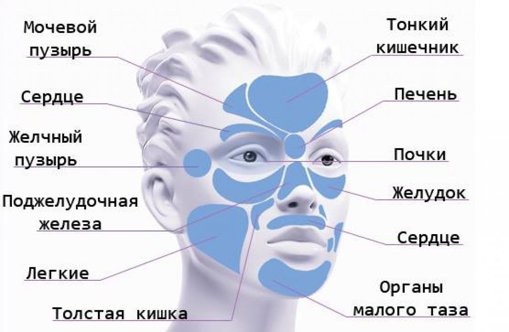 Карта прыщей на лице и внутренние органы