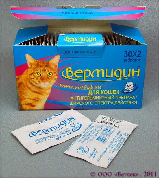Можно ли кошке обезболивающее. Лекарство для кошек. Таблетки для кошек. Кот с лекарствами. Обезболивающий препарат для котов.