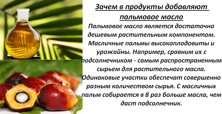 Как проверить наличие пальмового масла. Пальмовое масло вред и польза для организма. Польза пальмового масла. Пальмовое масло жир. Пальмовое масло вредное.