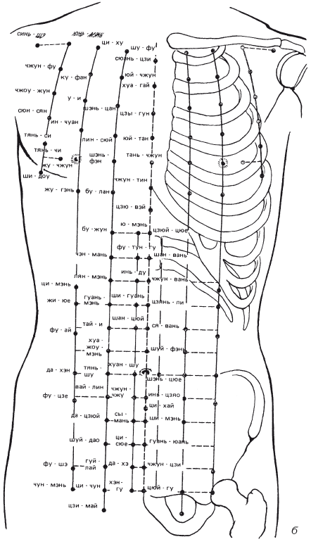 Акупунктура тела человека схема