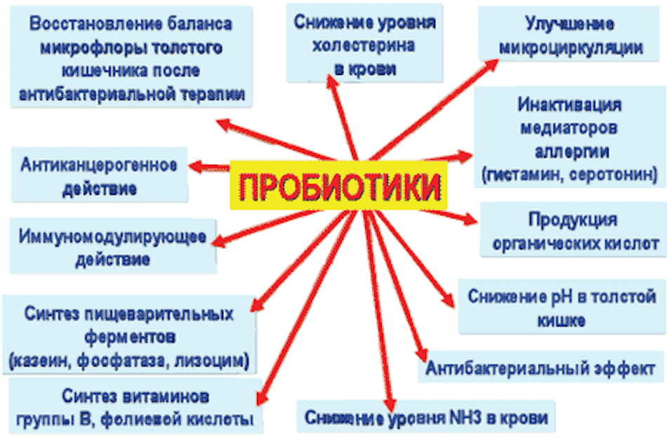 Для восстановления микрофлоры назначают. Пробиотики. Пребиотки для кишечника. Проплиотеки. Пребиотики и пробиотики для кишечника.