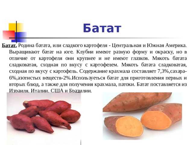 Польза батата