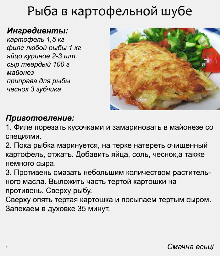 Рецепты в духовке простые и вкусные на каждый день с фото пошагово вторых блюд