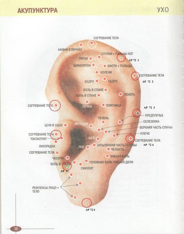Какие точки тела