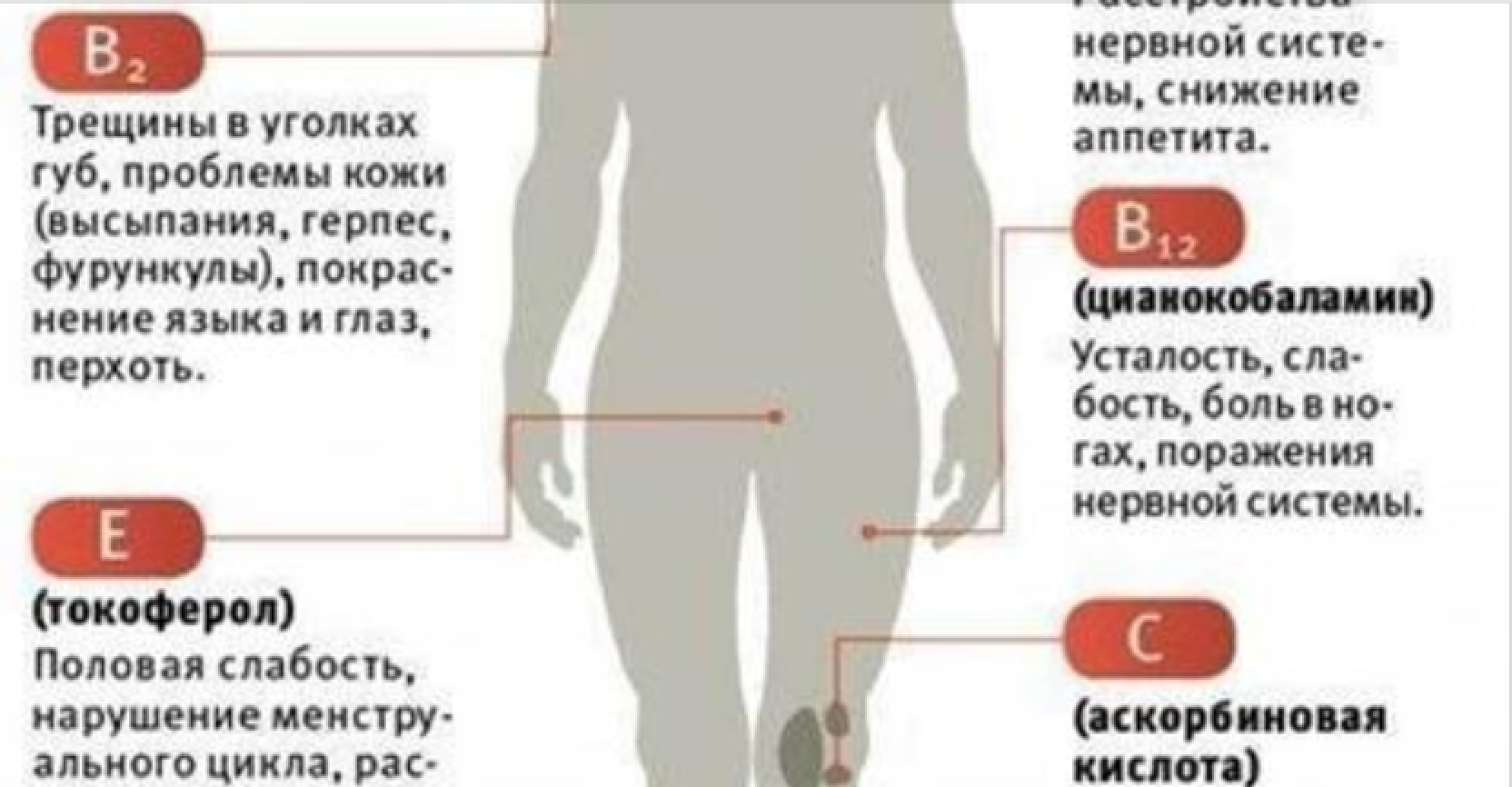 Каких витаминов не хватает. Трескаются губы какого витамина не хватает. Трескаются уголки губ каких витаминов не хватает. Сухие губы какого витамина не хватает.