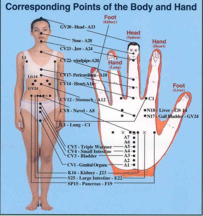 Точки акупунктура схема