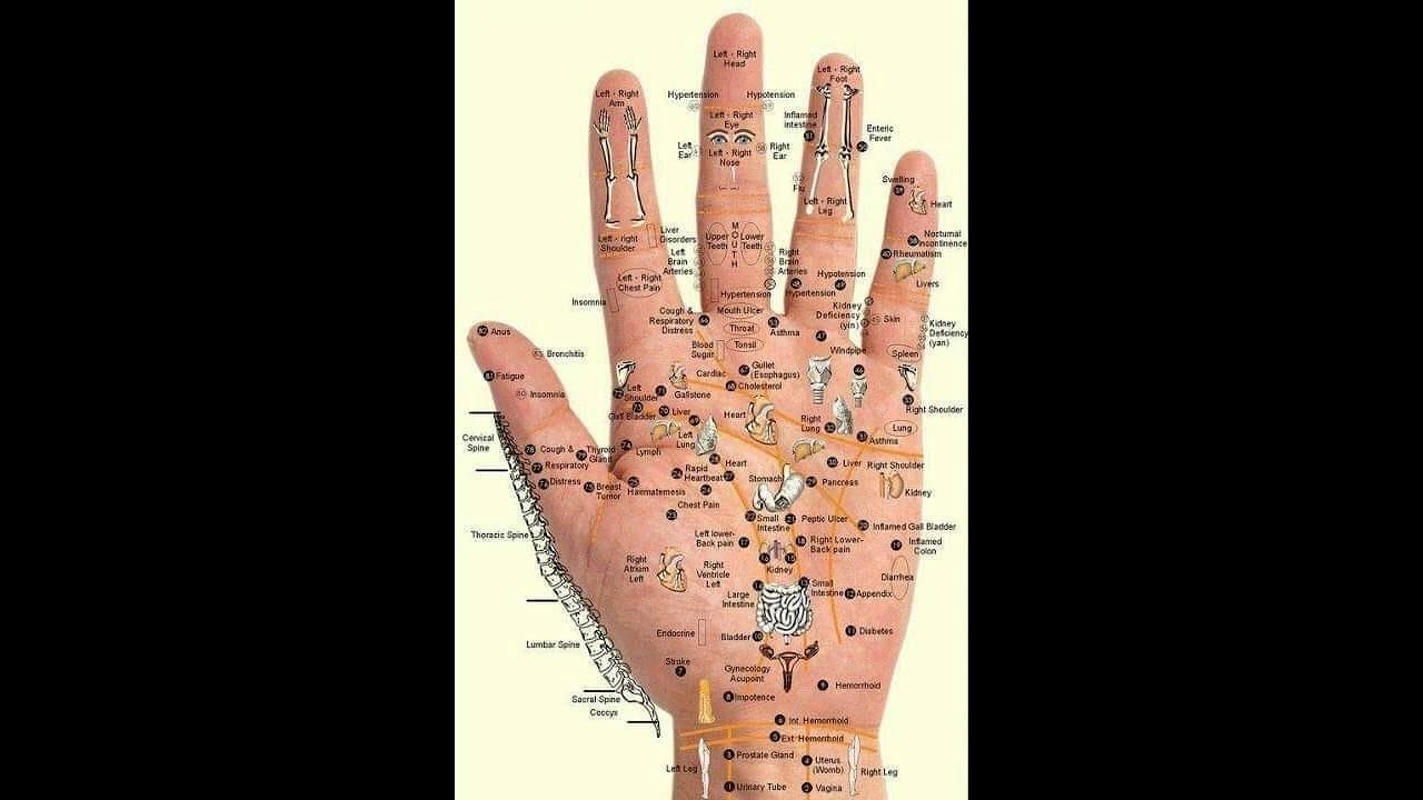 Определить заболевание по рукам. Акупунктура тела человека схема ладонь. Акупунктурные точки на ладони человека схема расположения. Акупунктура руки человека схема. Схема акупунктурных точек на руке человека.