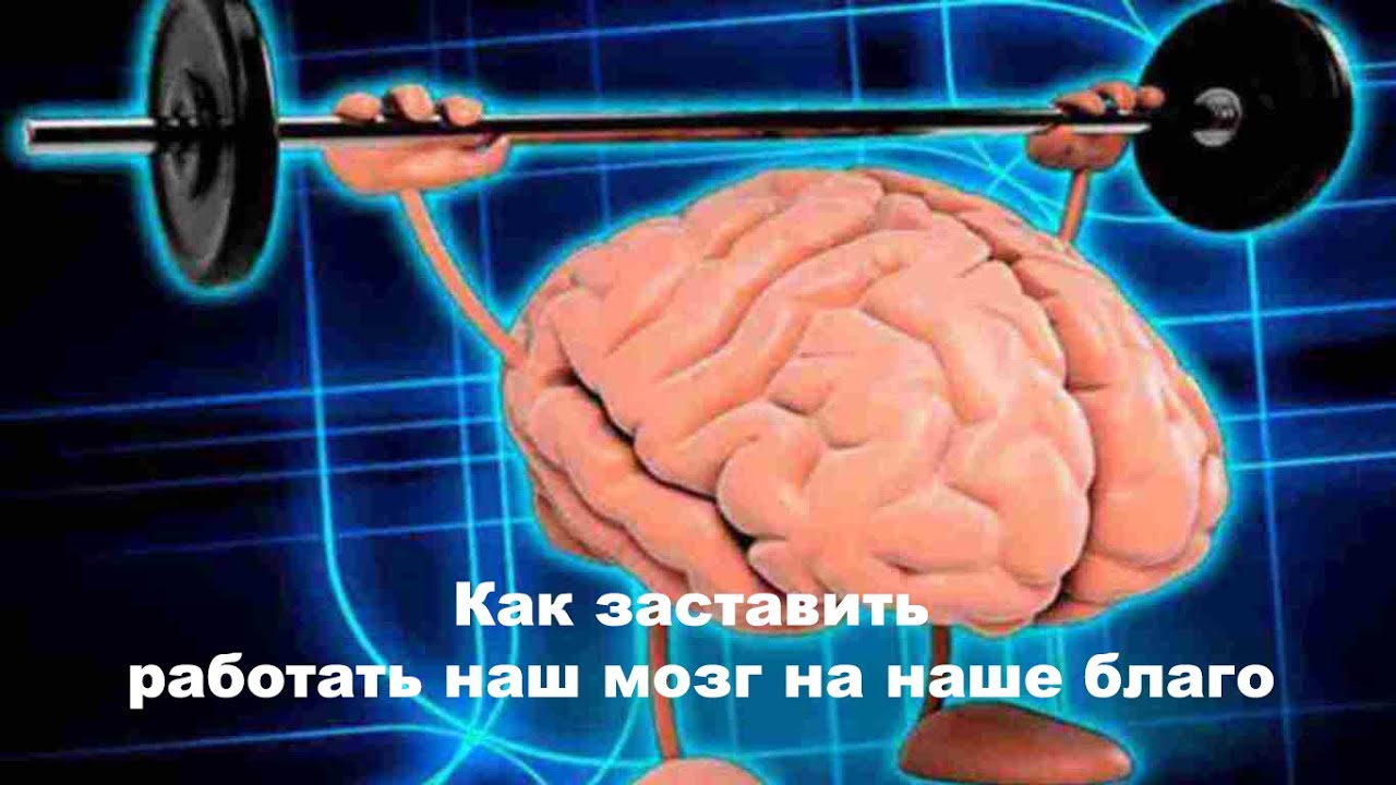 Мозгу нужно время. Активность мозга. Мозг память. Мозг человека развивается.